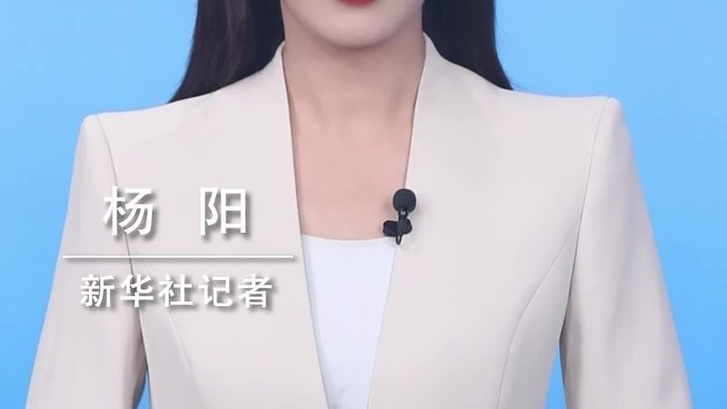 自研与外包：汽车零部件研发的两条岔路